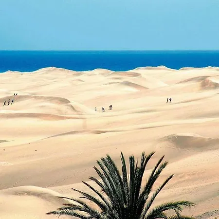 شاليه In Maspalomas With Heated Pool San Bartolomé
